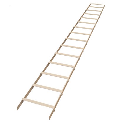NEC Type ladder -1
